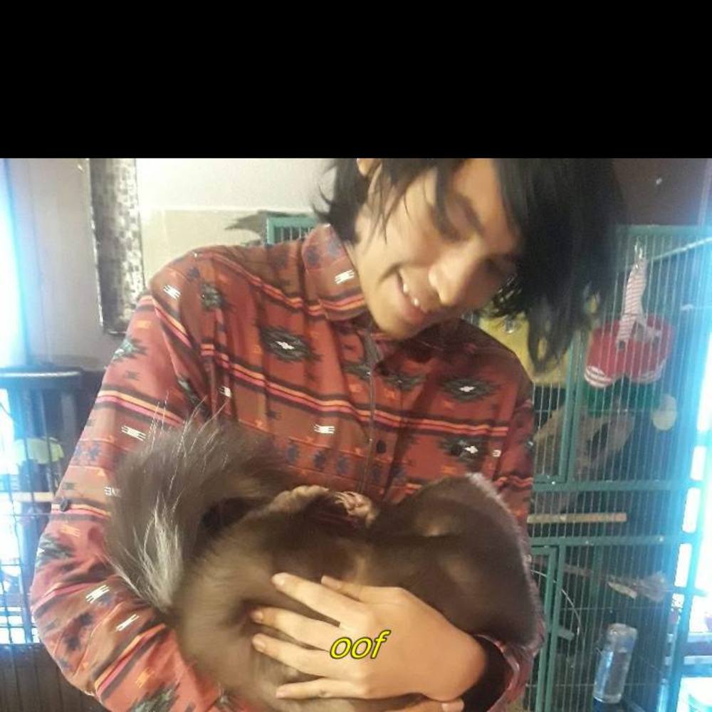 Meet your Posher, Wes